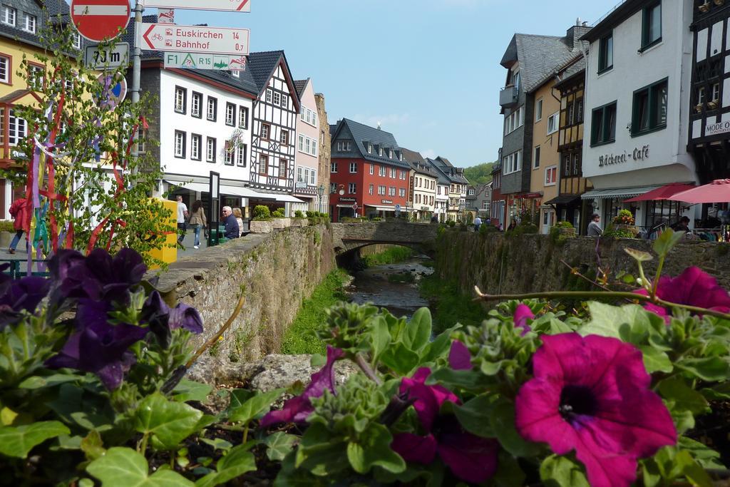Ferienwohnung Orchidee Bad Muenstereifel Oda fotoğraf