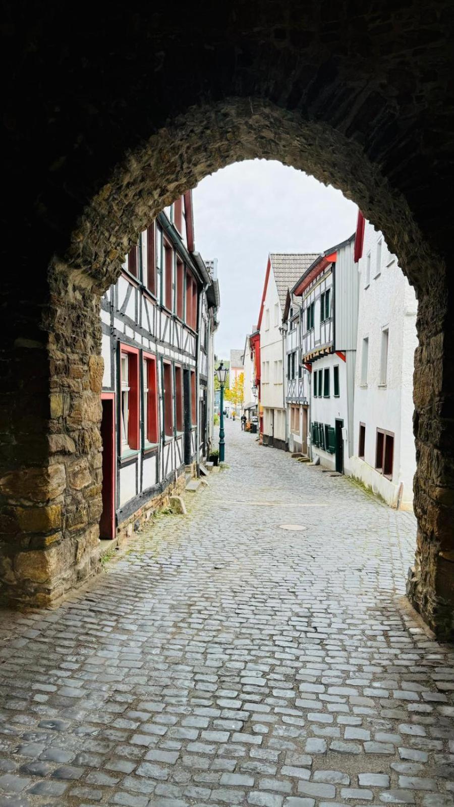 Ferienwohnung Orchidee Bad Muenstereifel Dış mekan fotoğraf